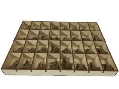 Go7 Gaming - ZBP-002 Storage For Wulfsburg -Board Game Store ZBP 002 5 e1470202529794